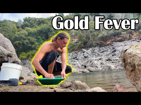 Видео: Раскопки калифорнийских сокровищ: я наконец-то нашёл золото