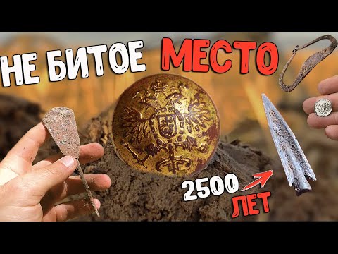 Видео: Нашли не битое  МЕСТО ! Находок Полно