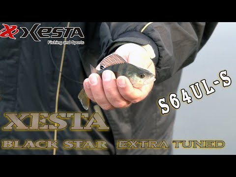 Видео: Ксестопад продолжается!  Новая ультралайтовая XESTA EXTRA TUNED S64UL-S.