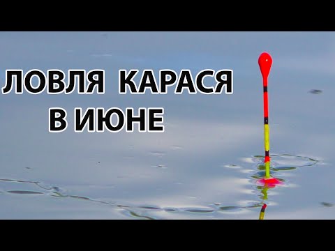 Видео: Ловля карася.Рыбалка на поплавок