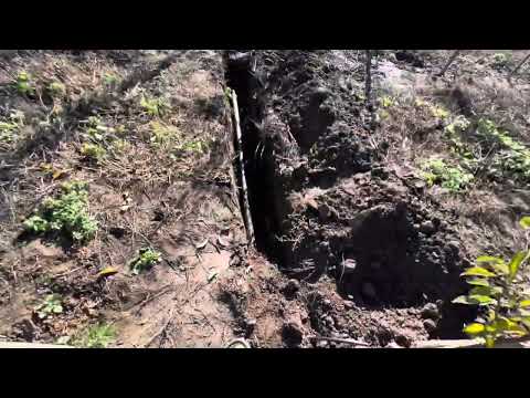 Видео: Робимо полив на дерева. Груша Ноябрська та РХ.