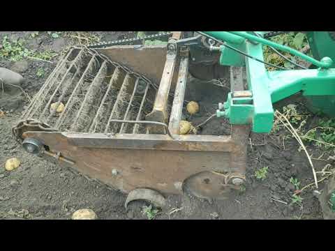 Видео: Транспортерная картофелекопалка.
