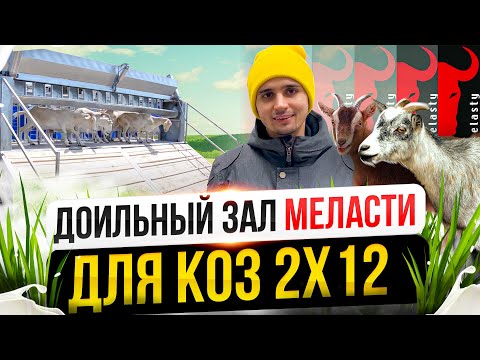 Видео: Доильный Зал для коз от Melasty 2х12 (Липецк)