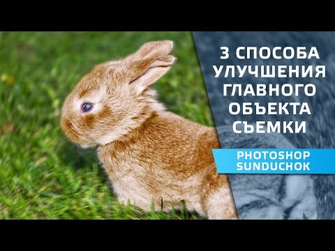 Видео: Три способа улучшения основного объекта съемки