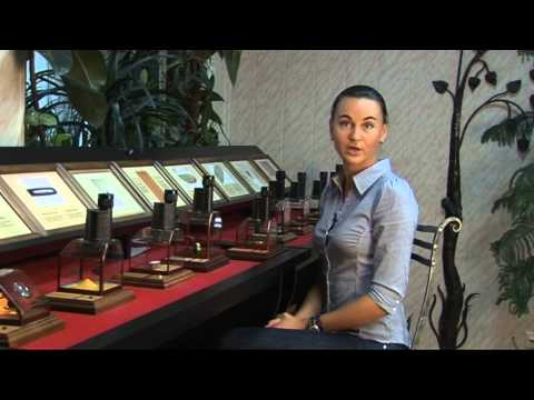 Видео: МУЗЕЙ ЛЕВШИ