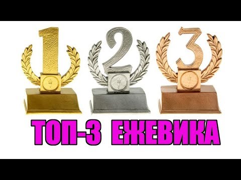 Видео: Итоги сезона 2019. Топ-3 сортов ежевики