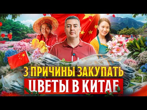 Видео: Есть ли шанс у китайской розы на существование? | Китай  | Цветы оптом