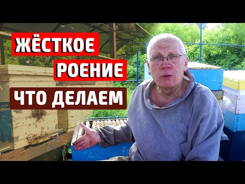 Видео: Борьба с роением пчел Противороевые методы называются "Хватит играться"