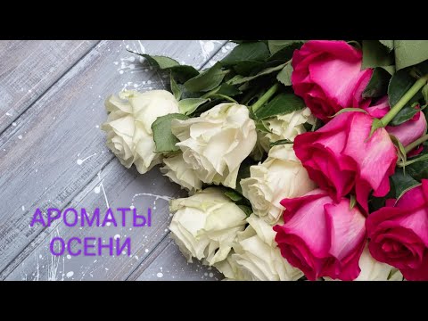 Видео: МОИ АРОМАТЫ В СЕНТЯБРЕ🌹2025