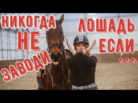 Видео: СКОЛЬКО СТОИТ ЛОШАДЬ?💸🐴🤯