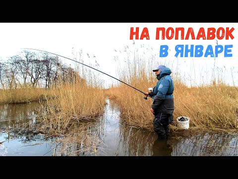 Видео: ПЕРВАЯ РЫБАЛКА НА ПОПЛАВОК В ЯНВАРЕ. ВОТ ЭТО КЛЕВ!!!
