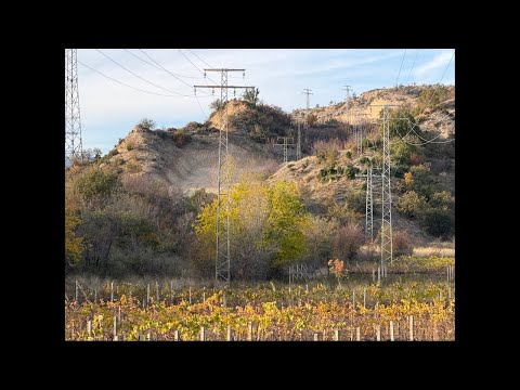 Видео: Кражби за 600 000 000 лева в Кресна!