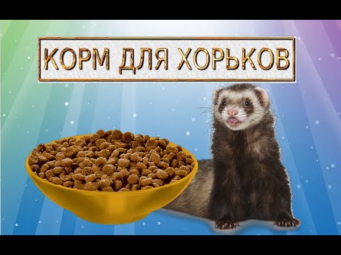 Видео: Как и чем кормить хорька!Корма для хорьков!Обзор кормов!