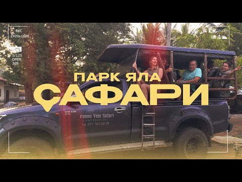 Видео: ЯЛА ПАРК Шри-Ланка - разочарование или очарование? Стоит ли ехать?