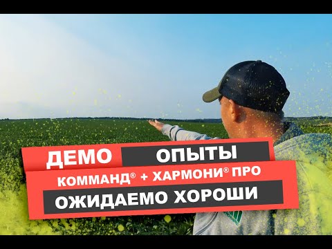 Видео: FMC. Гербицид Комманд® + Хармони® Про. Результаты обработки.