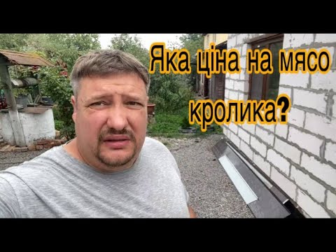 Видео: ПРОДАЛИ ТУШКИ З КРОЛИКІВ. ГОТУЄМО СИРУ АДЖИКУ З ПОМІДОРІВ.
