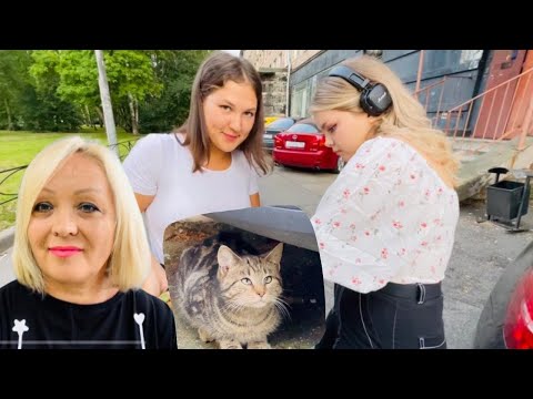Видео: РЕШИЛИ ВЗЯТЬ УЛИЧНОГО КОТА ДОМОЙ! И ЧТО ИЗ ЭТОГО ВЫШЛО?