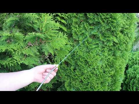 Видео: Опрыскиватель аккумуляторный UNION 8 л