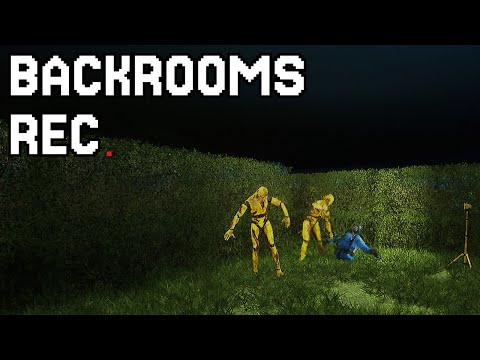 Видео: ОХ УЖ ЭТА ШИНШИЛЛА.... ▷ BACKROOMS REC. #2