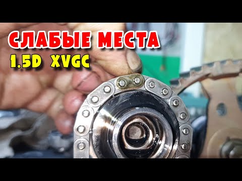 Видео: Ford Tourneo Connect  1.5D, Детские болезни ,Цепь ГРМ и Торцы клапанов