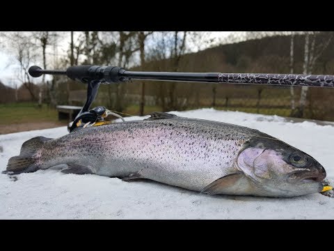 Видео: Ловля прудовой форели или "Trout Area"/Первый подход для новичков/ Trout Area for beginners