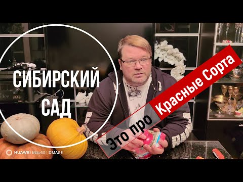 Видео: Сибирский сад. Изобилие красных сортов.
