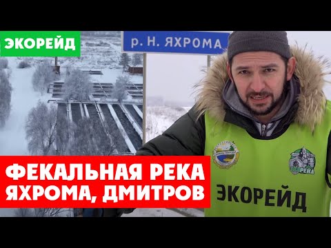 Видео: Экорейд бьет тревогу. Загрязнение реки Яхрома, подмосковный Дмитров