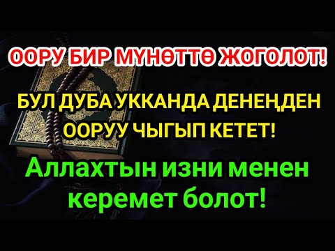 Видео: БИР МҮНӨТТӨ ШЫПАА! ПАЙГАМБАРДЫН ДУАСЫ КЕРЕМЕТ КЫЛДЫ! 🌿