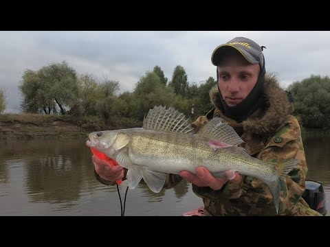 Видео: Джиг на реке, или как поймать судака осенью