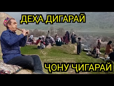 Видео: НАВРӮЗИ ҚАЛЪА /ҒИЗОҲОИ МИЛЛИИ ТОҶИКӢ/БАҲОРУ БАЗМУ ТАРАБ.