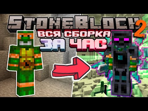 Видео: Я прошел ВСЮ СБОРКУ за ЧАС StoneBlock 2 | Выживание в Майнкрафт с МОДАМИ!