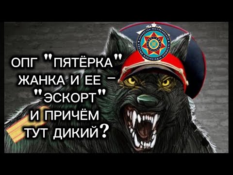Видео: ОПГ "ПЯТЁРКА".  ЖАНКА И  ЕЁ - ЭСКОРТ. И ПРИ ЧЕМ ТУТ ДИКИЙ?