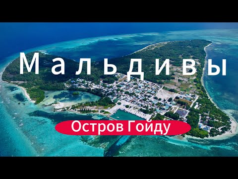 Видео: БЮДЖЕТНЫЕ МАЛЬДИВЫ 2024🇲🇻 о.ГОЙДУ (GOIDHOO). Гостевой дом Horsburgh.