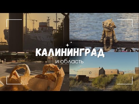 Видео: КАЛИНИНГРАД l СВЕТЛОГОРСК l ЗЕЛЕНОГРАДСК l БАЛТИЙСК