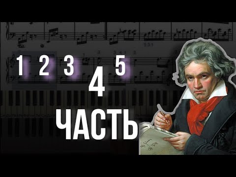 Видео: К Элизе - разбор ЧЕТВЕРТОЙ части - как играть ноты