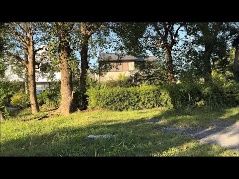 Видео: Погода и сезоны в Японии Когда лучше приезжать в Японию