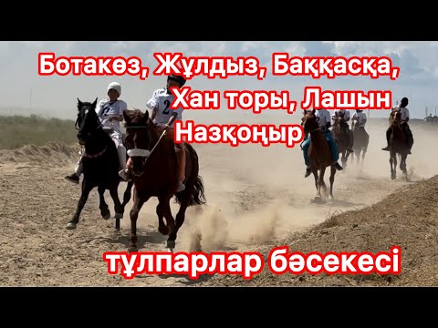 Видео: Жергілікті тұлпарлар бәсекесі