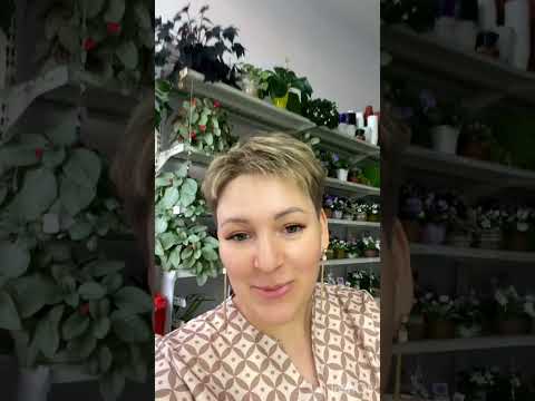 Видео: Обзор деток мини полумини фиалок 2 часть 19.08.25  