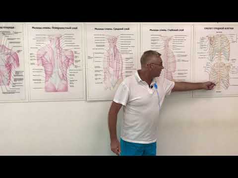 Видео: Грыжа позвоночника. Центр Механотерапии им. Густава Цандера