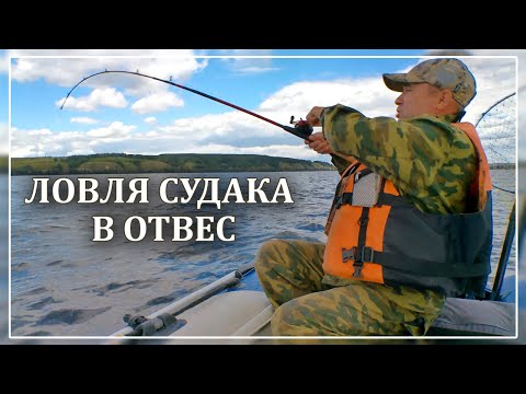 Видео: Ловля судака в отвес. Судак на балансир.Көксерке балық аулау