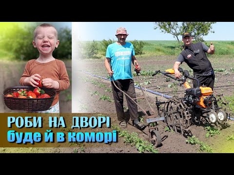 Видео: Догляд за картоплею і городом. Полив, прополка, розпушення, підгортання