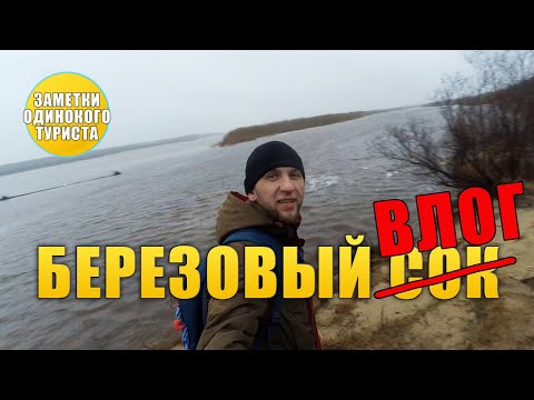 Видео: Березовый Влог. Собираю сок и много говорю. Начало сезона 2024