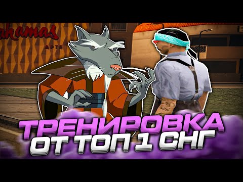 Видео: ТРЕНИРОВКА СТРЕЛЬБЫ в ГТА САМП от ТОП 1 СНГ😱 (ft. immortal)