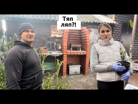 Видео: НАША ДЕРЕВЕНЬКА! ОСЕННИЕ ДЕЛА НА УЧАСТКЕ. ПРОДОЛЖАЕМ СТРОЙКУ. МАМИНЫ ПЕСНИ ДЛЯ ДУШИ!