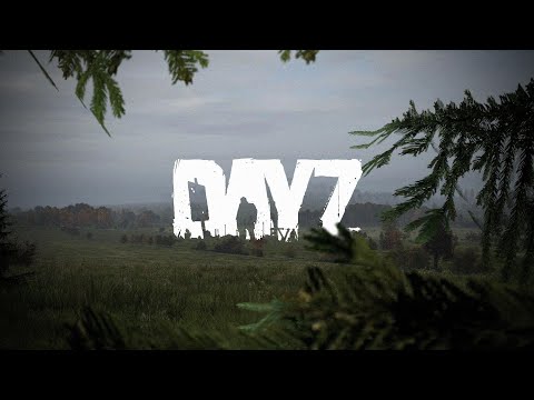 Видео: Развитие на Хардкоре DAYZ. Стрим . Проект "One more Dayz Hardcore"
