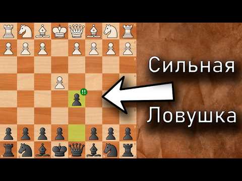 Видео: САМАЯ интересная ЛОВУШКА в СКАНДИНАВСКОЙ ЗАЩИТЕ!!
