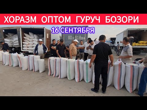 Видео: ХОРАЗМ ОПТОМ ГУРУЧ БОЗОРИ АНИК НАРХЛАРИ 16 СЕНТЯБРЯ 2025-ЙИЛ
