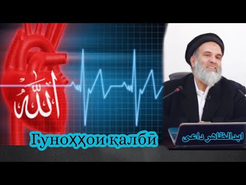 Видео: Гуноҳҳои қалбӣ #доъи #дои