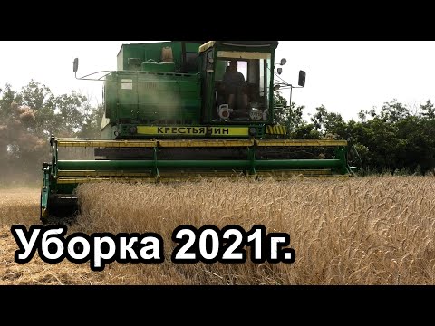 Видео: Уборка 2021г. Убираем пшеницу. ДОН-1500б.