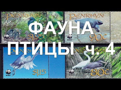 Видео: Фауна. Птицы ч. 4